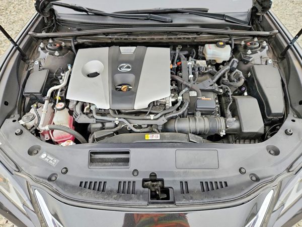 2019 LEXUS ES 300h
