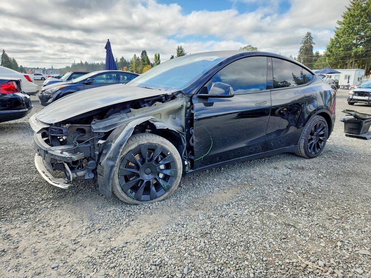 2022 TESLA MODEL Y
