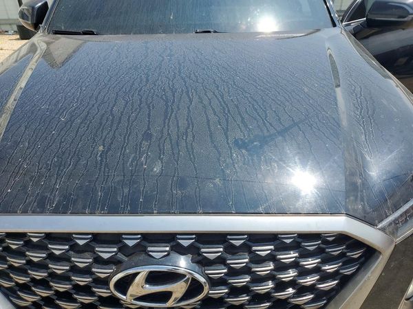 2022 HYUNDAI PALISADE Caligraphy