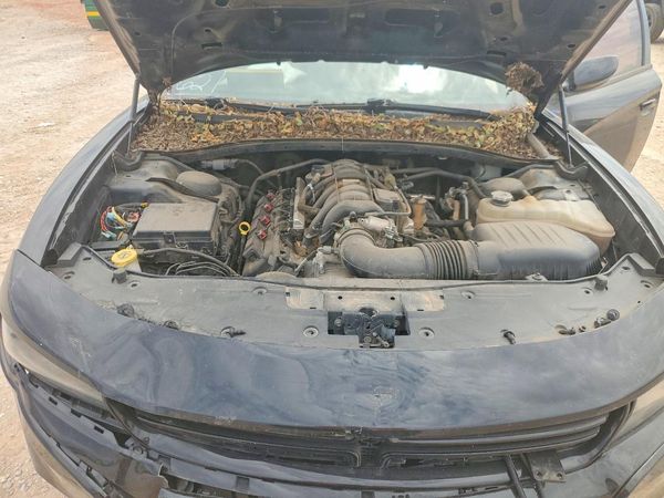 2019 DODGE CHARGER Police — Engine bay