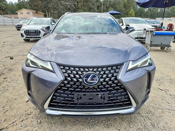 2020 LEXUS UX