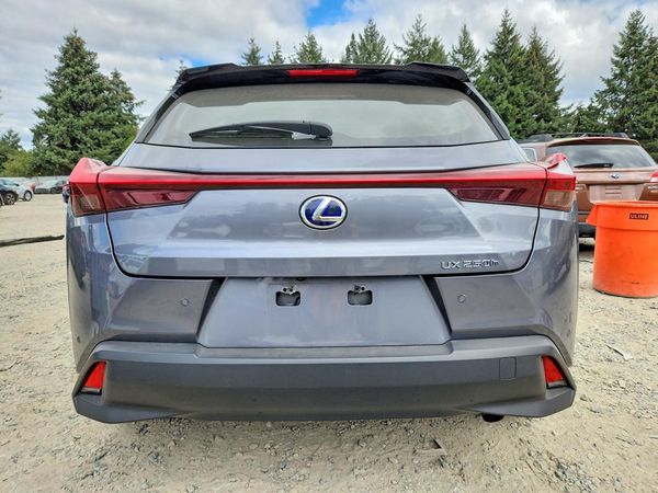 2020 LEXUS UX
