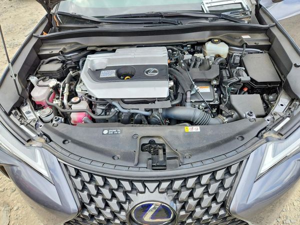 2020 LEXUS UX