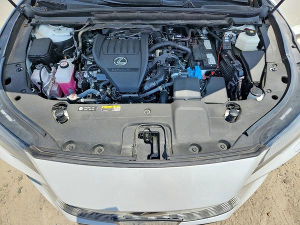 2024 LEXUS RX 350