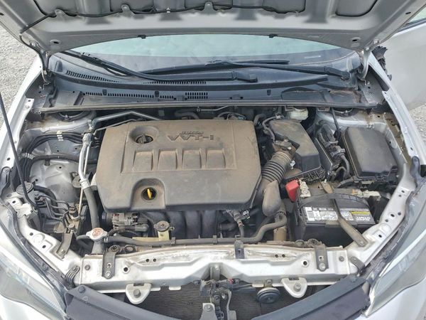 2019 TOYOTA COROLLA L/LE/SE/XLE/XSE