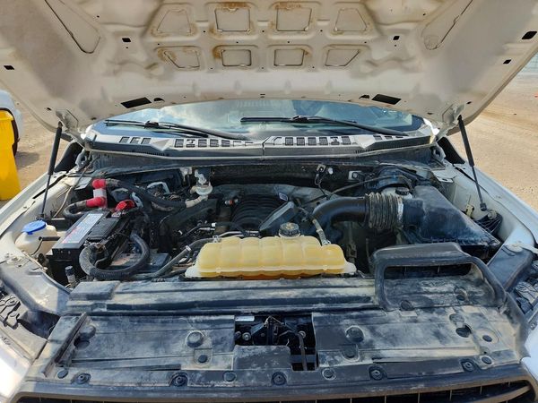 2019 FORD F150
