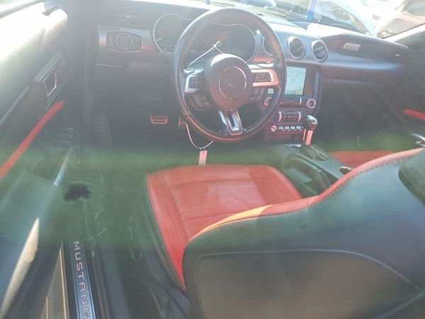 2019 FORD MUSTANG GT Convertible