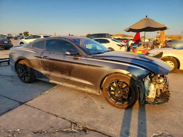 2019 FORD MUSTANG