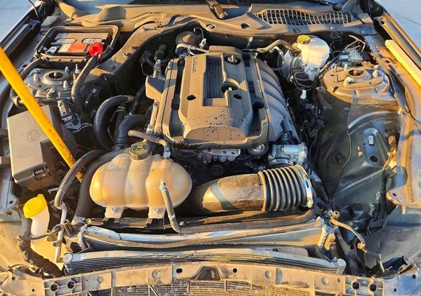 2019 FORD MUSTANG