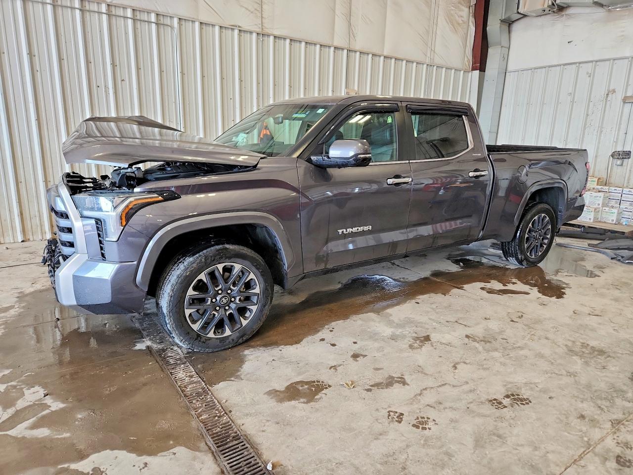 2025 TOYOTA TUNDRA