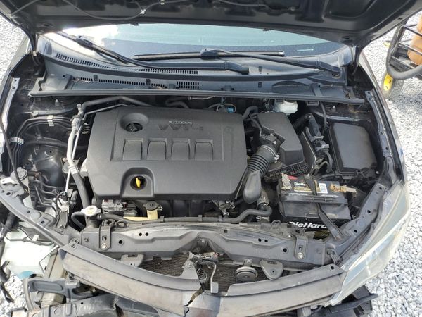 2019 TOYOTA COROLLA