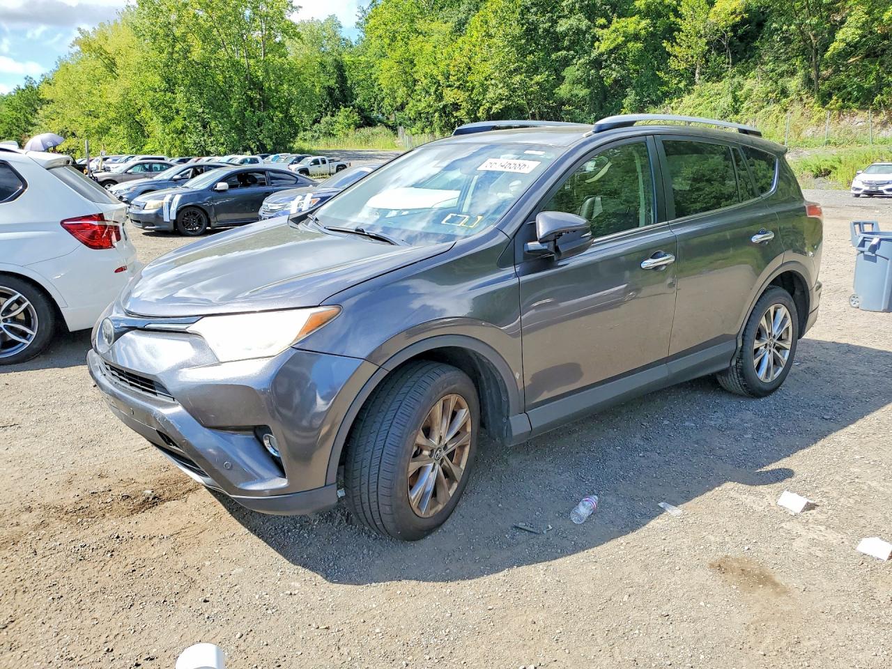 2016 TOYOTA RAV4 Limited (G Grade)