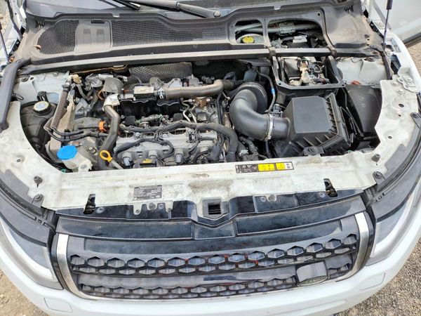 2019 LAND ROVER RANGE ROVER EVOQUE SE/SE Premium