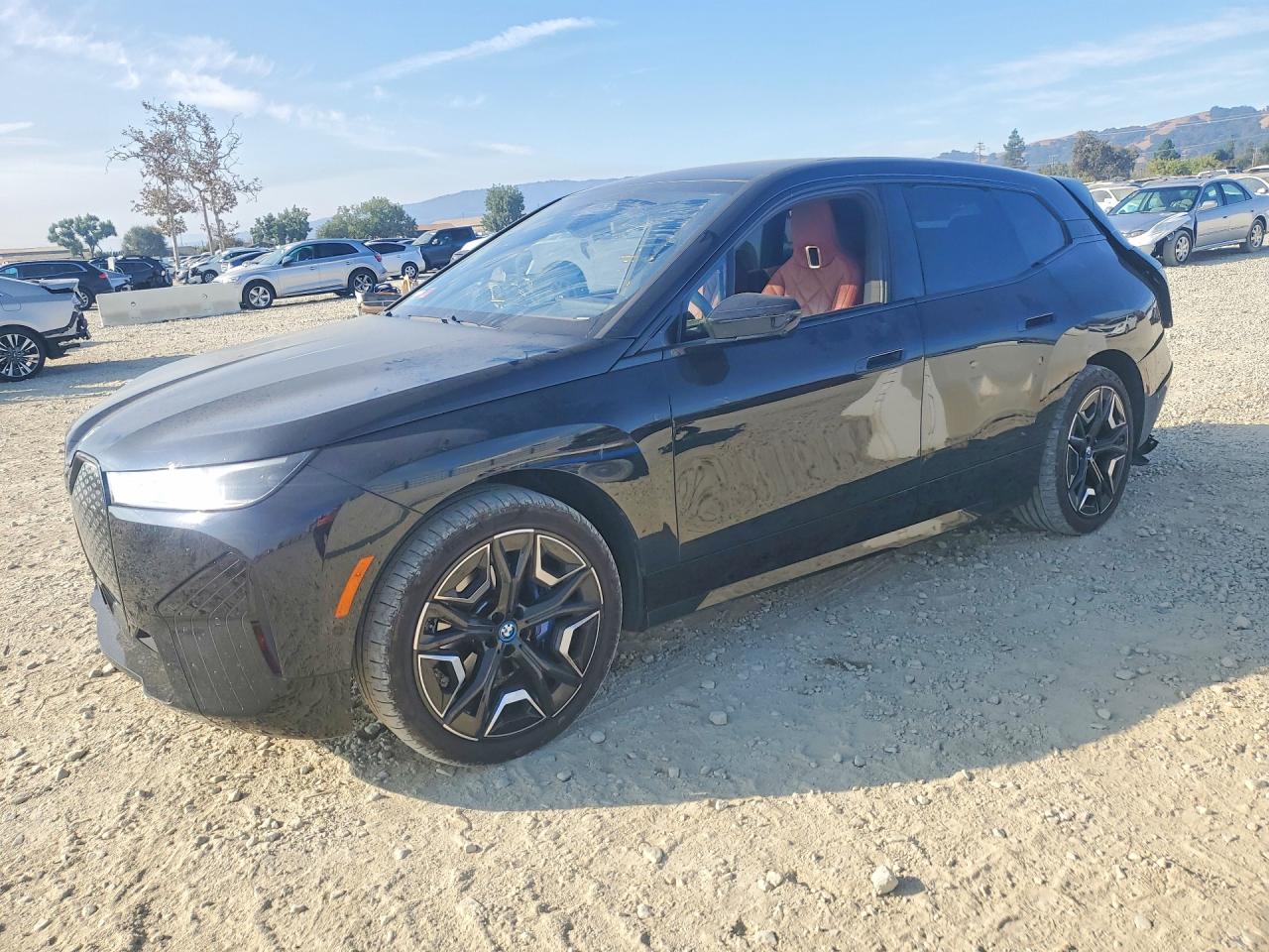 2024 BMW IX