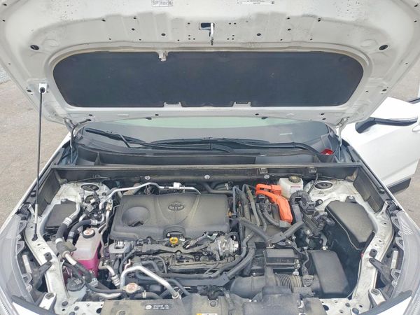 2024 TOYOTA RAV4 SE