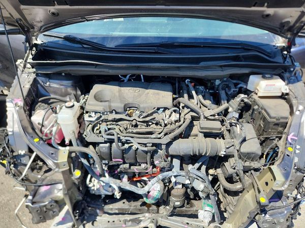 2024 TOYOTA SIENNA Limited