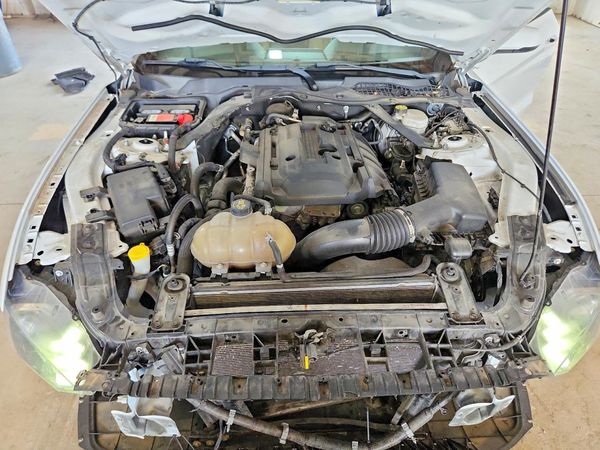 2019 FORD MUSTANG I4 Convertible