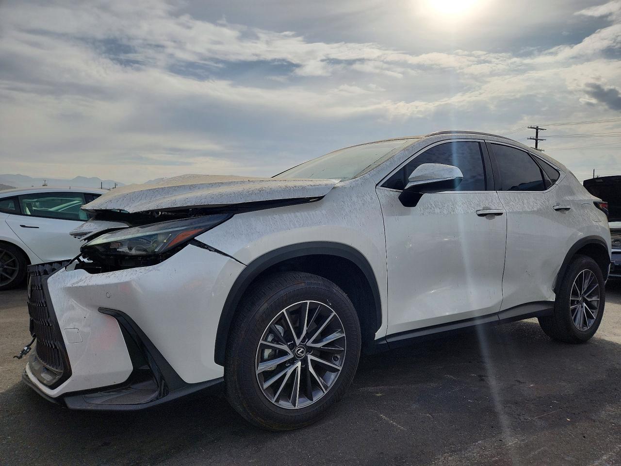 2025 LEXUS NX