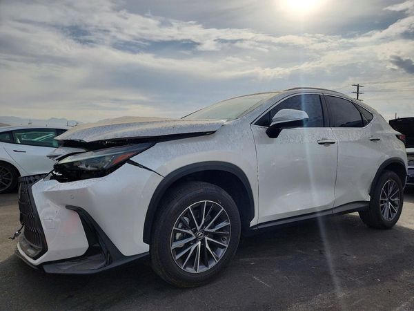 2025 LEXUS NX