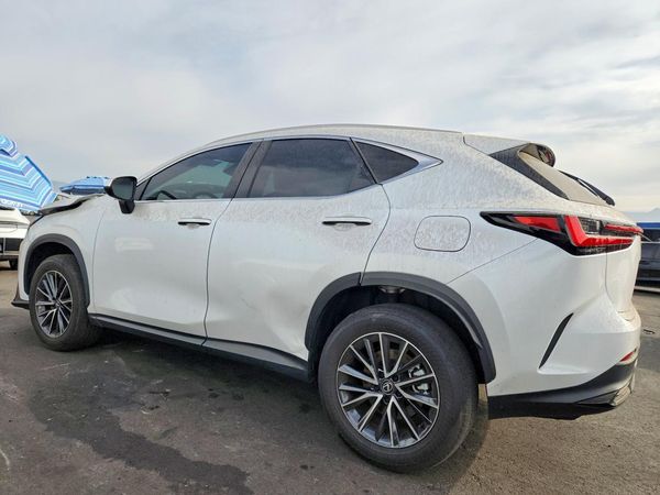 2025 LEXUS NX