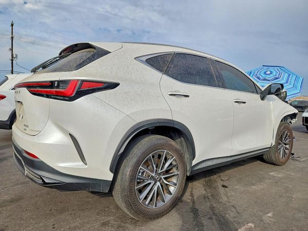 2025 LEXUS NX