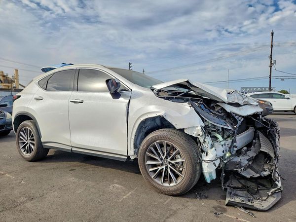 2025 LEXUS NX