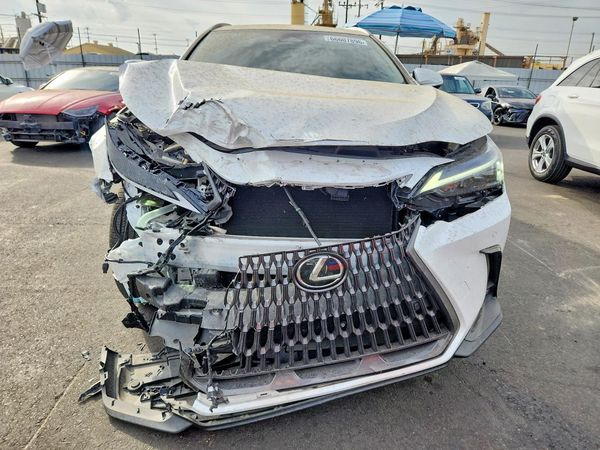 2025 LEXUS NX