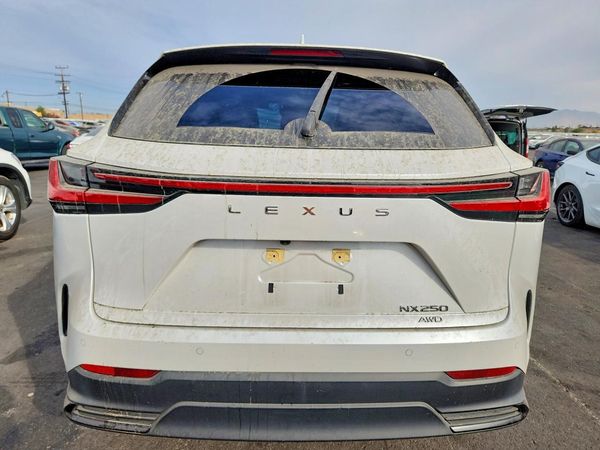 2025 LEXUS NX