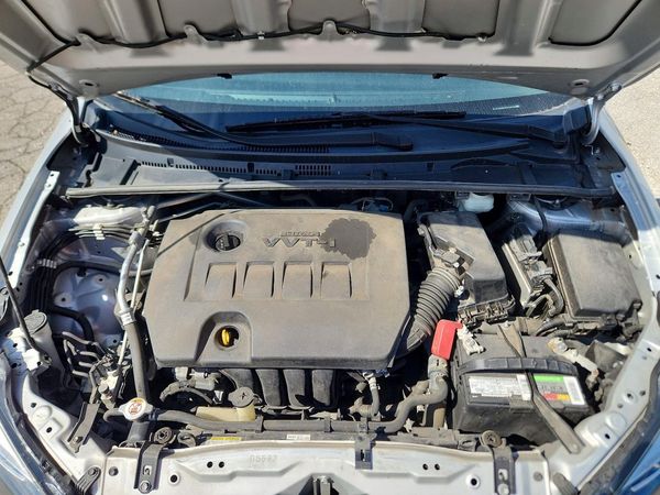 2019 TOYOTA COROLLA