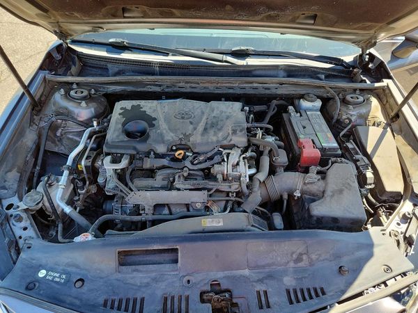 2019 TOYOTA CAMRY L/LE/SE/XLE
