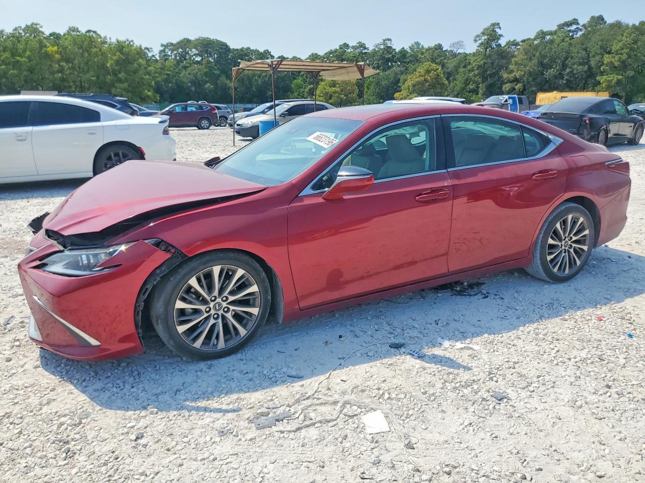 2019 LEXUS ES