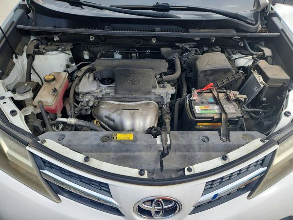 2015 TOYOTA RAV4 XLE (M Grade)