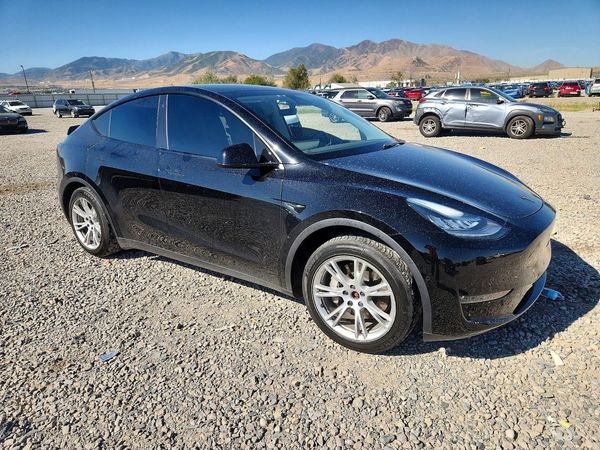 2020 TESLA MODEL Y