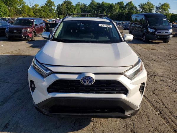 2023 TOYOTA RAV4 XLE Premium — DIRF