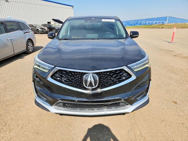 2019 ACURA RDX Platinum Elite