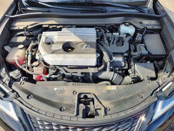 2019 LEXUS UX