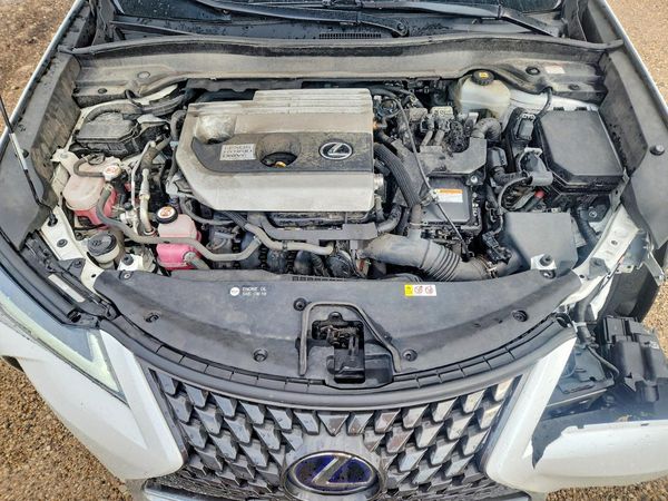 2020 LEXUS UX