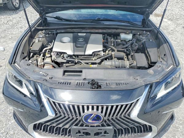 2020 LEXUS ES300 300h Premium — Engine bay