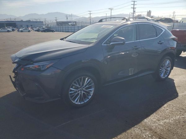 2025 LEXUS NX