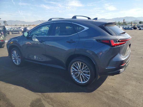 2025 LEXUS NX