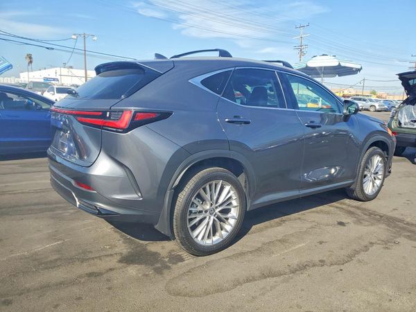2025 LEXUS NX