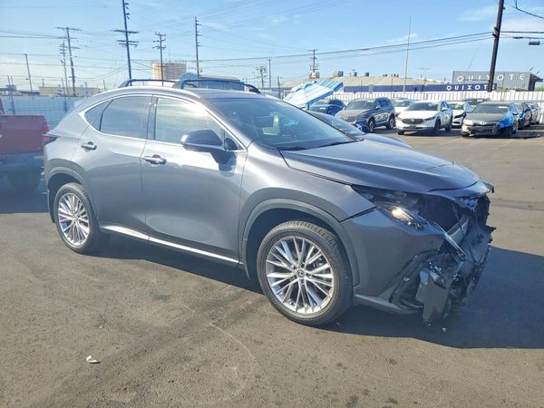 2025 LEXUS NX