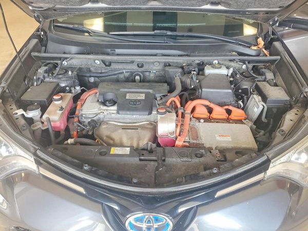 2016 TOYOTA RAV4 XLE (M Grade)