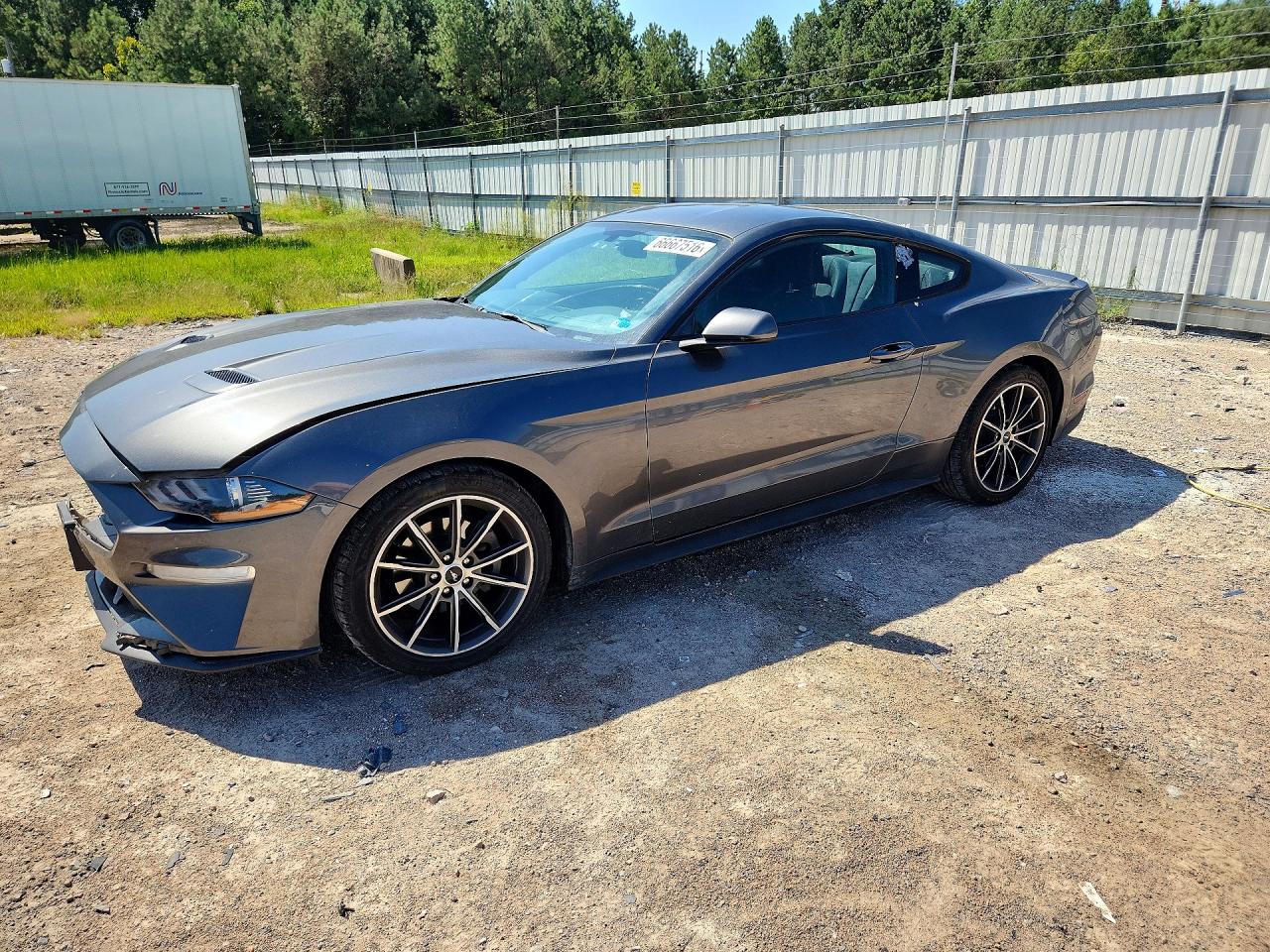 2019 FORD MUSTANG