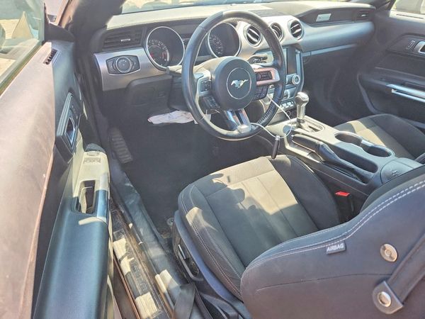 2019 FORD MUSTANG