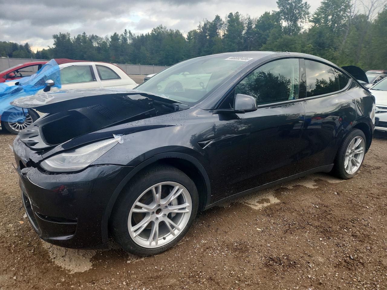 2024 TESLA MODEL Y