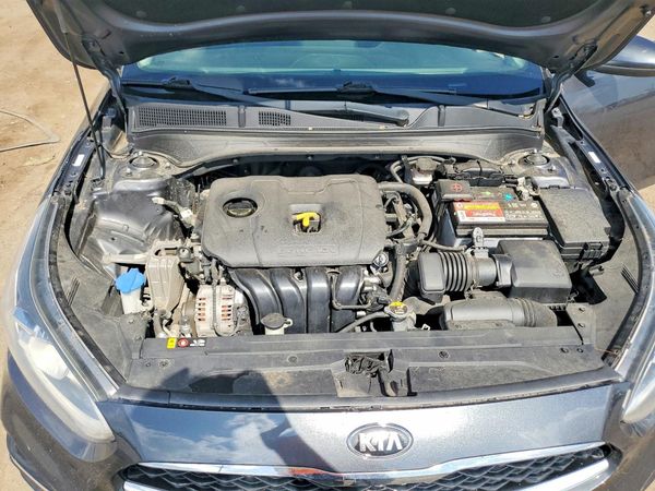 2019 KIA FORTE S/GT Line