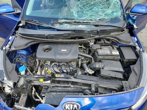 2018 KIA RIO EX