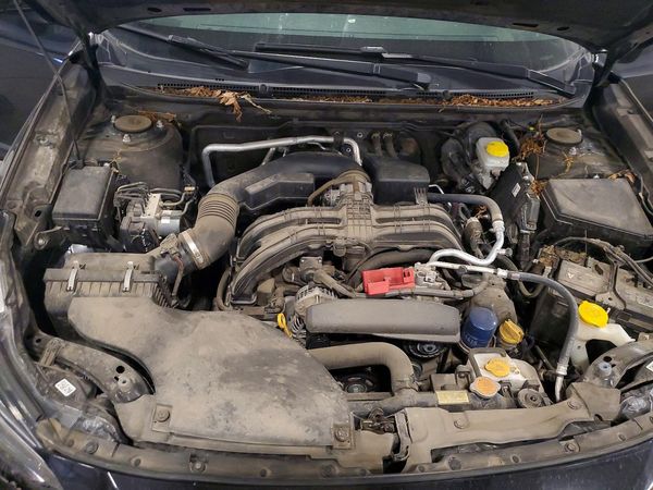 2023 SUBARU OUTBACK