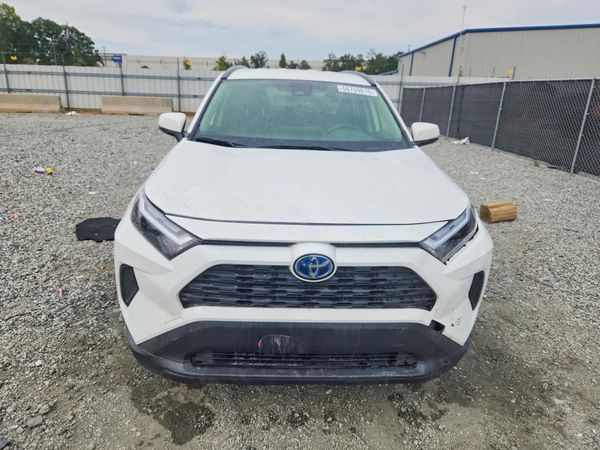 2024 TOYOTA RAV4 XLE — DIRF